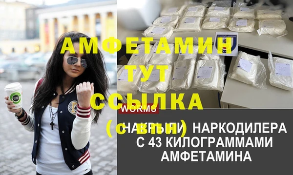 дмт Переславль-Залесский