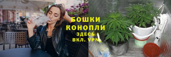 дмт Переславль-Залесский