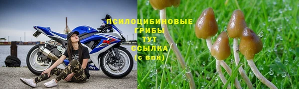 дмт Переславль-Залесский