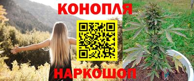стаф Кинель