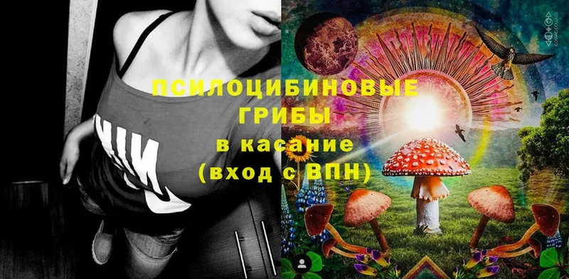 даркнет клад  Семилуки  Псилоцибиновые грибы Psilocybe 