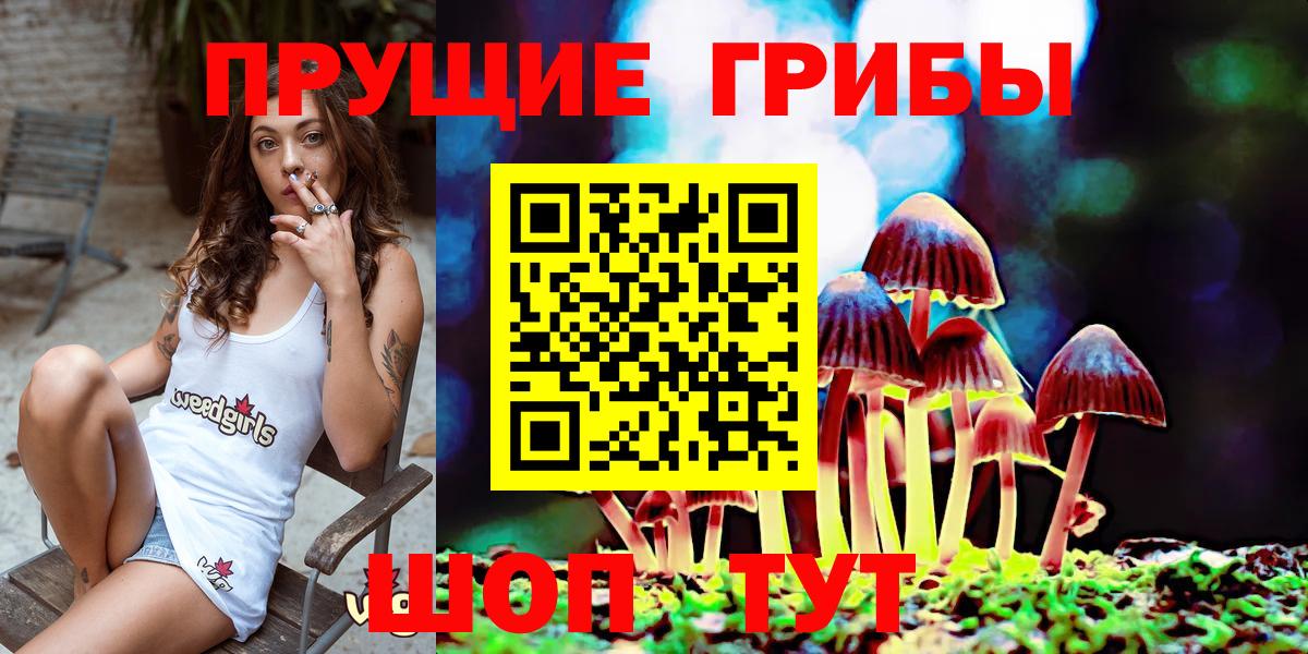 Галлюциногенные грибы Magic Shrooms  Вход с VPN  Семилуки  Псилоцибиновые грибы Psilocybe 