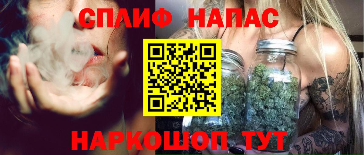 Конопля ГИДРОПОН  Семилуки  Канабис марихуана  Марихуана VHQ 